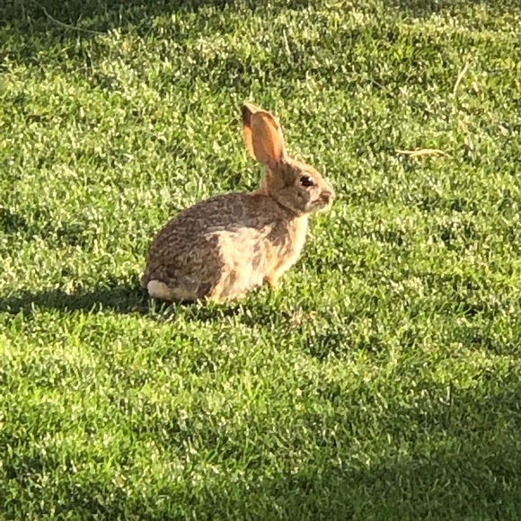 Meet your Posher, Danielle - Picture 1 of 1